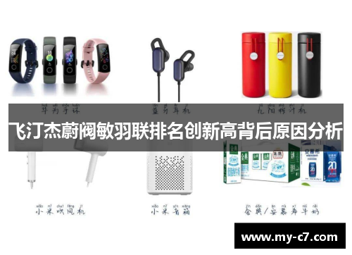 飞汀杰蔚阀敏羽联排名创新高背后原因分析