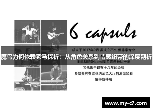 魔鸟为何依赖老马探析：从角色关系到情感纽带的深度剖析